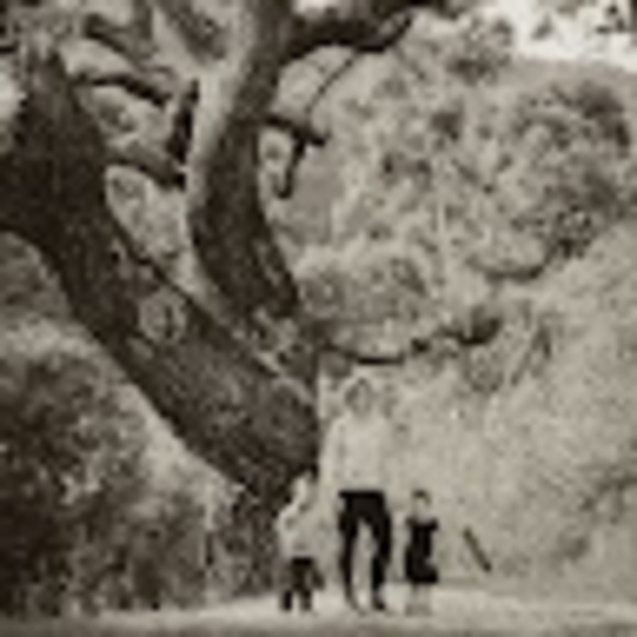 Meet your Posher, M - Picture 1 of 1